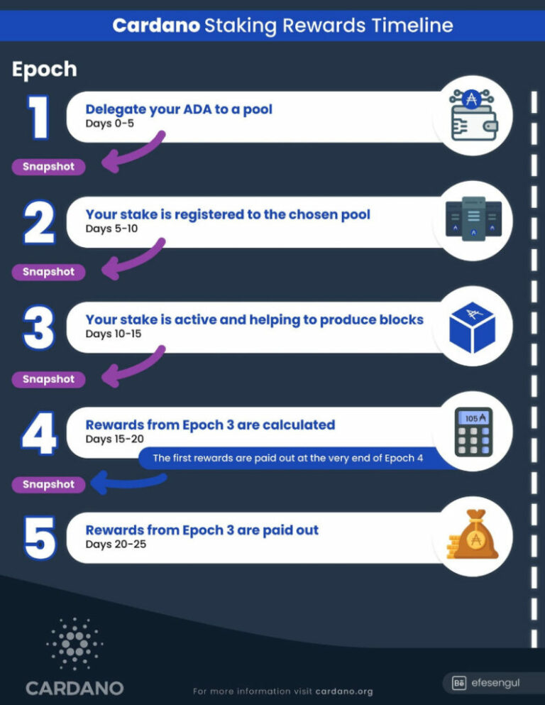 FireShot-Pro-Webpage-Capture-1043-Cardano-Staking-Rewards-Timeline-Infographic-English-_-Education-Cardano-Forum-forum.cardano.org_-792x1024-1