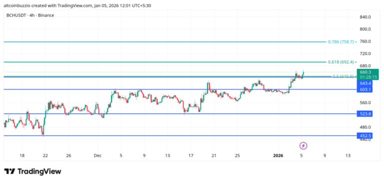 BCHUSDT_2026-01-05_12-01-45-1024x487-1